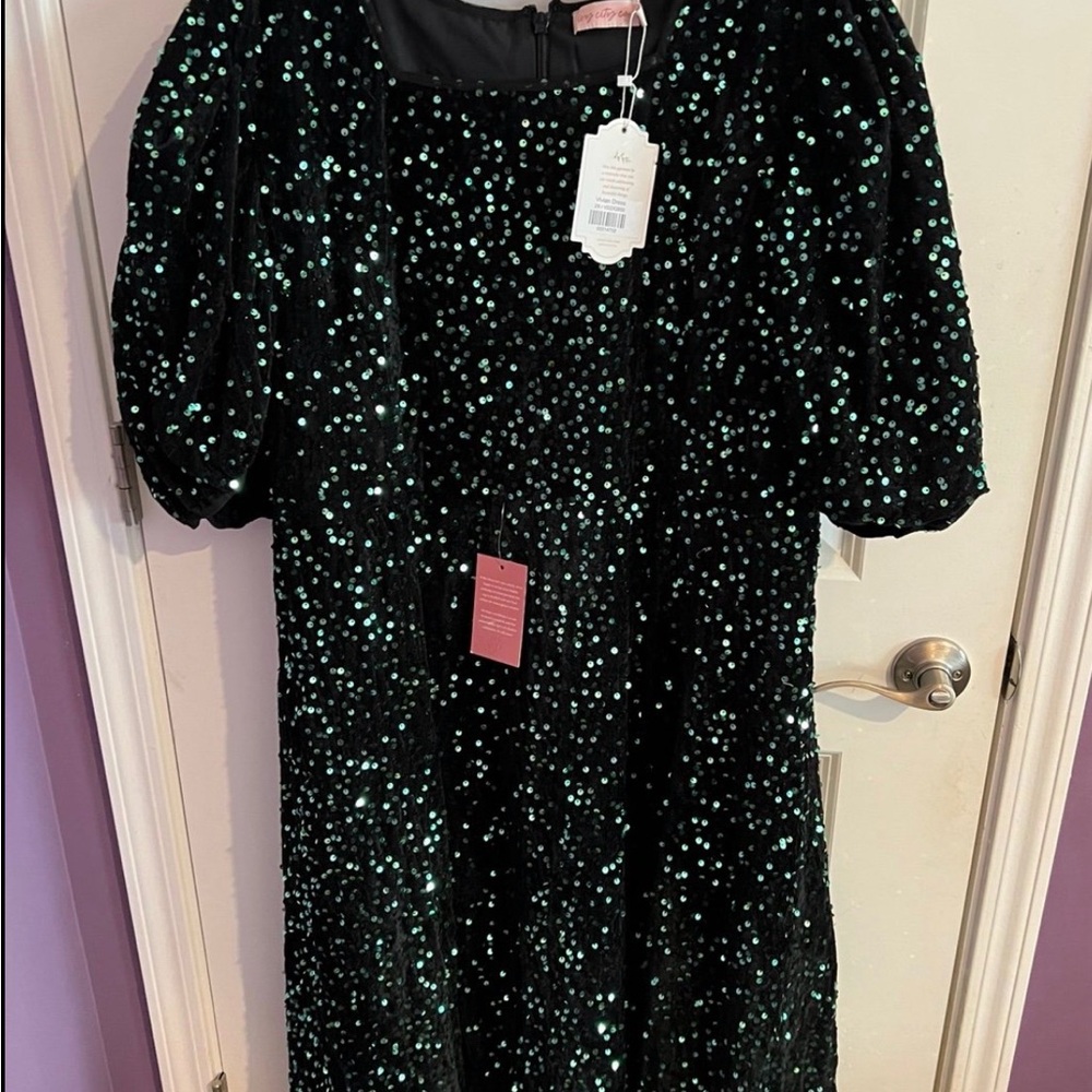 Elegant Green Sequin Dress - Picture 3 of 3